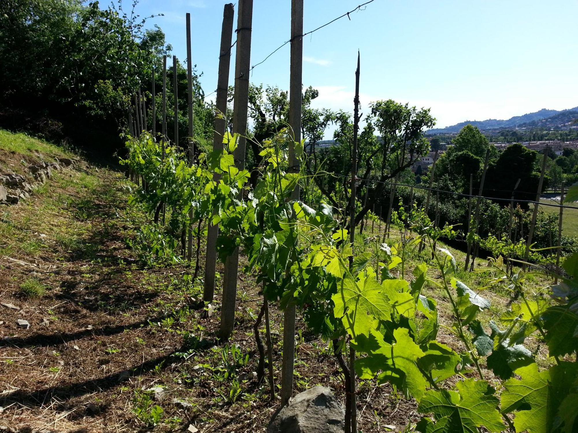 Bergamo Bnb Villa di Serio Luaran gambar